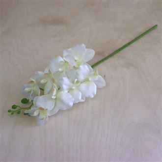 Künstliche Orchidee Creme 371251-26