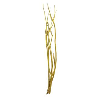 Zweige Mitsumata 3 St. 80 cm, gelb 381986-02