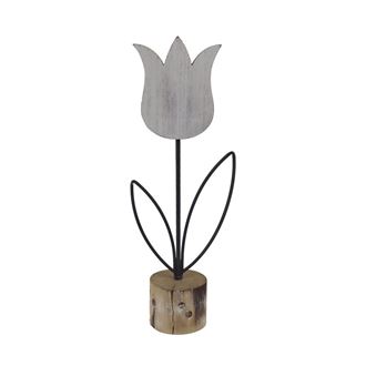 Dekorative Tulpe D4757/1
