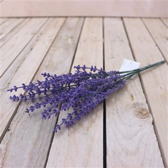 Strauß Lavendel 371174