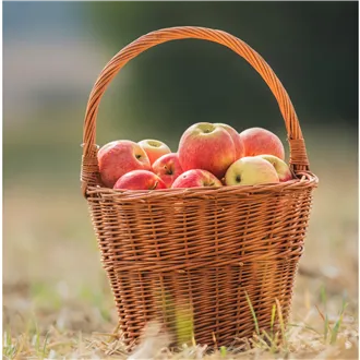 Runder Korb, 067036/25