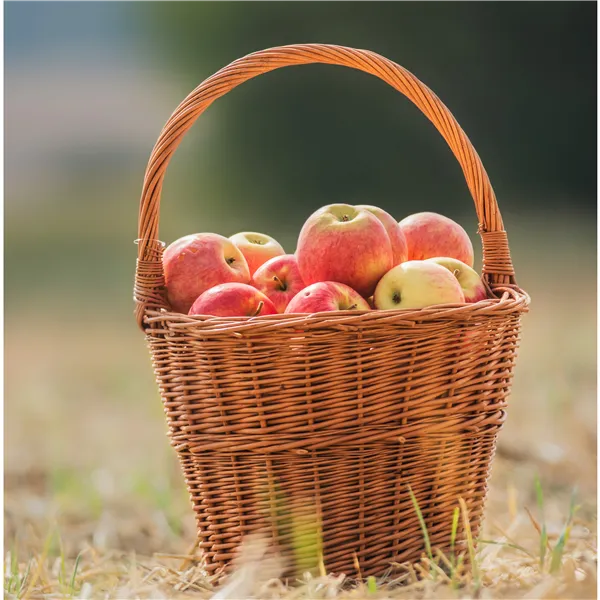 Runder Korb, 067036/35