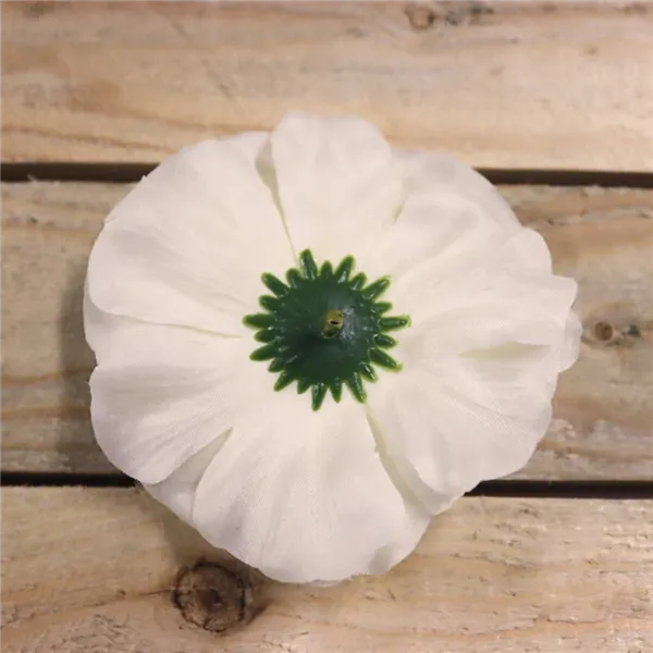 Zinnienblüte Creme, 12 Stk 371195-26