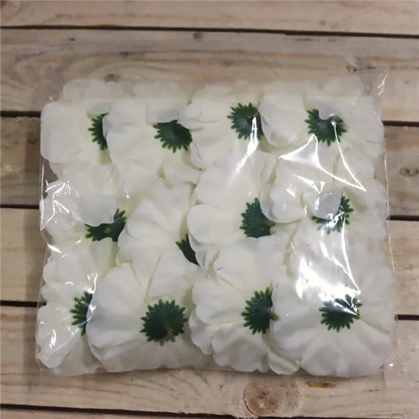 Zinnienblüte Creme, 12 Stk 371195-26