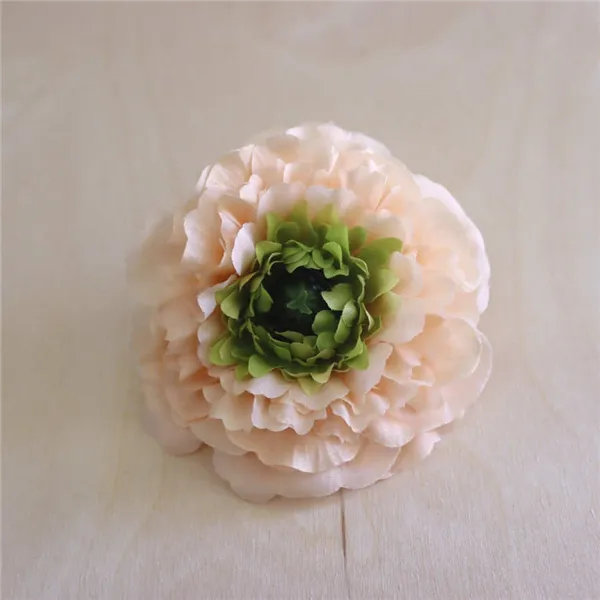 Zinnienblüte Aprikose, 12 Stk 371195-33