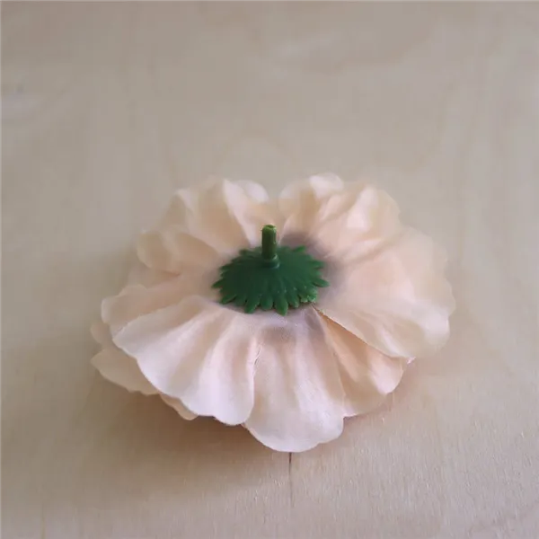 Zinnienblüte Aprikose, 12 Stk 371195-33