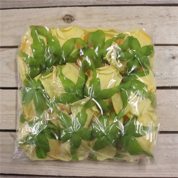 Rosenblüte Gelbe, 12 Stk 371211-02