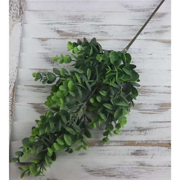 Der Zweig von Eukalyptus, 61 cm, grün