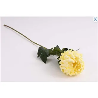 Chrysantheme 74 cm, creme 371356