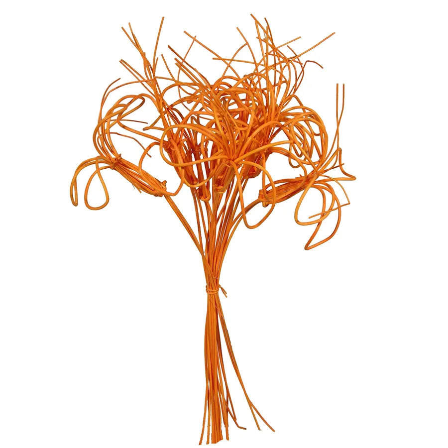 Blume Peddig, 10 St. - 40 cm, orange 381570-04