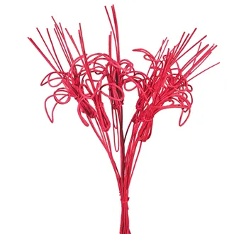 Blume Peddig, 10 St. - 40 cm, rot, 381570-08
