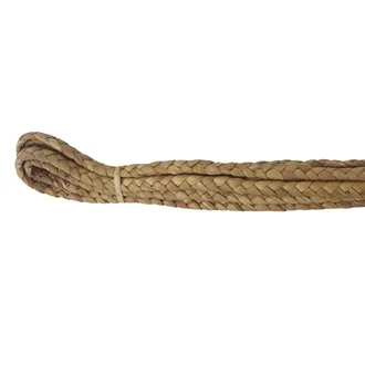 Wasserhyazinthe 8/10 mm Bund 10m 5304150