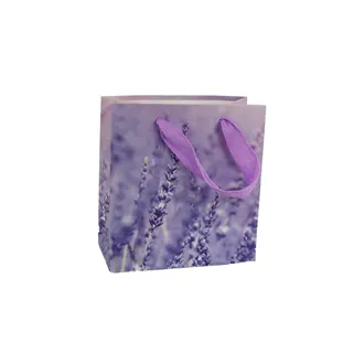 Geschenktasche A0159/1