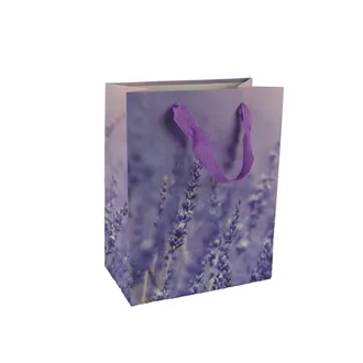 Papiertasche A0159/2