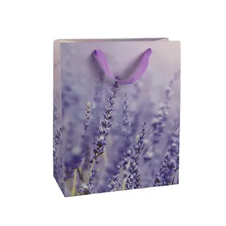 Geschenktasche A0159/3