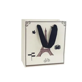 Geschenkbeutel A0237/1