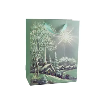 Geschenktasche A0263/2