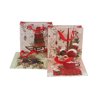 Geschenktüte, 4er Set A0404