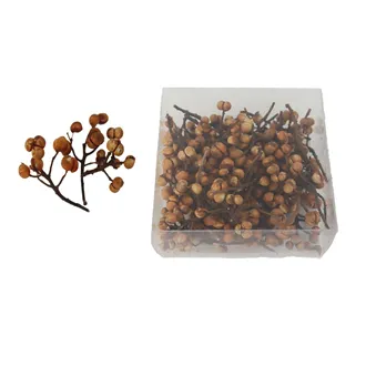 Zweige mit Beeren P2432