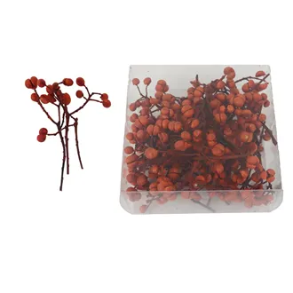 Zweige mit Beeren P2433