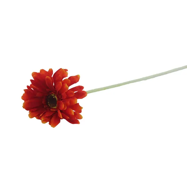 Gerbera Rot X5786-08