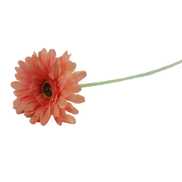 Gerbera orange X5786-33