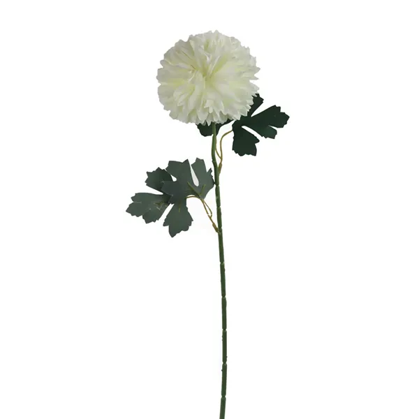 Chrysantheme, weiß X5787-01