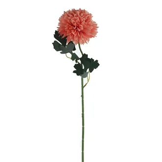 Chrysantheme rosa X5787-07