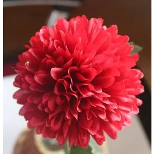 Chrysantheme bordeaux X5787-09