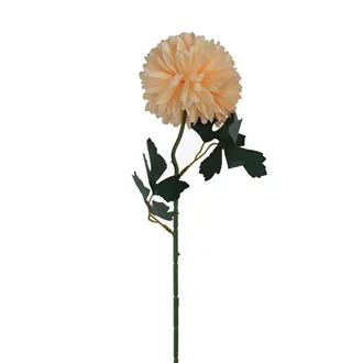 Chrysantheme X5787-33