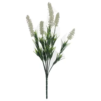 Weißer Lavendel X5789-01