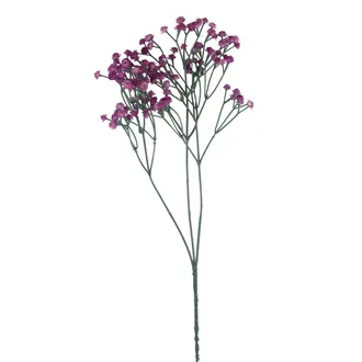 Schleierkraut X7890-11