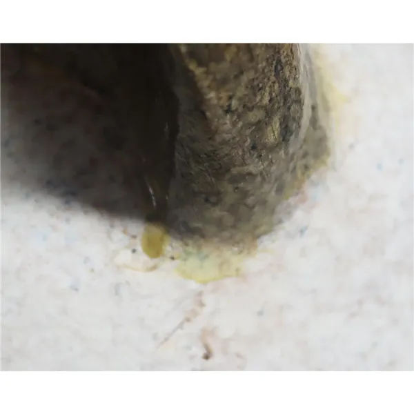 Dekorationskatze 2. Wahl X8108/2B