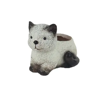 Katzenpflanzdekoration X8111