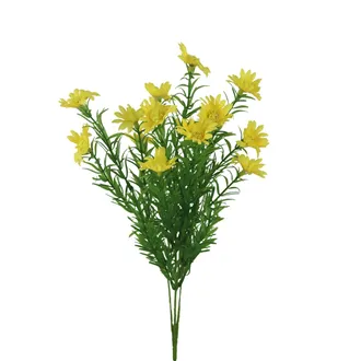 Wilde Gänseblümchen X8170-02