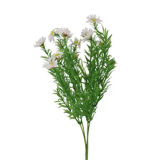 Wilde Gänseblümchen X8170-05