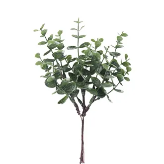Eukalyptus-Zweig X8390